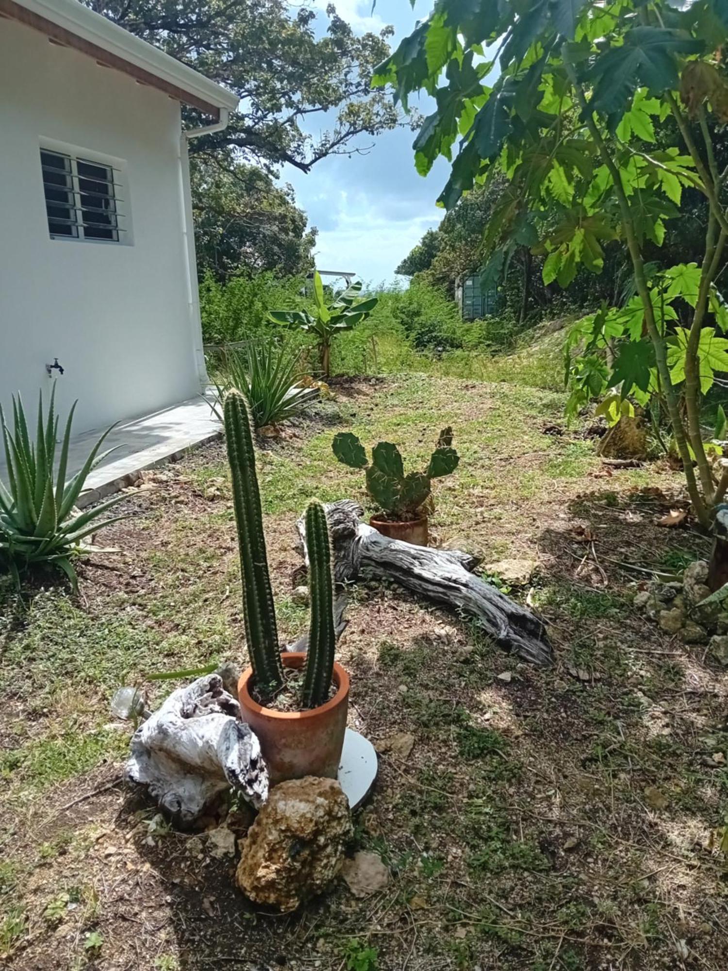 Kazacactus-Villa 3 Chambres Piscine Marie-Galante Beauséjour Exterior foto